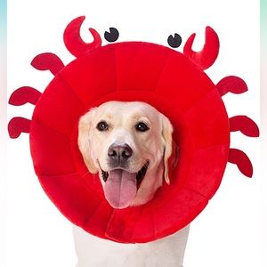 Dog Cones, Dog Recovery Collar with Soft Cotton | Sz L